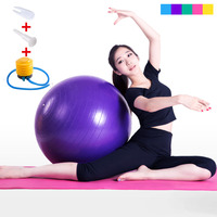 精灵鼠加厚减肥瑜珈球郑老师孕妇瘦身防爆瑜伽健身球正品瑜伽球