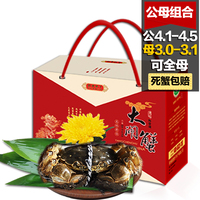 预售送2只水首领阳澄湖大闸蟹鲜活螃蟹礼盒公4.2-4两母3.1-3两8只