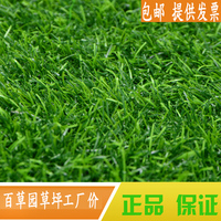 百草园 塑料草坪 绿色环保 加密人造草坪仿真草坪 人工草皮