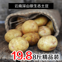 云南农家特产黄皮黄心新鲜土豆8斤 马铃薯洋芋蔬菜 非迷你小土豆