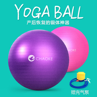 巢客瑜伽球加厚防爆正品瘦身球儿童孕妇瑜伽用品助产球减肥球特价