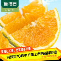 【誉福园】新鲜水果橙子 秭归夏橙脐橙8斤 产地直供 顺丰包邮