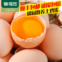 【誉福园】新鲜橘园谷饲散养土鸡蛋30枚 农家柴鸡蛋笨 顺丰包邮