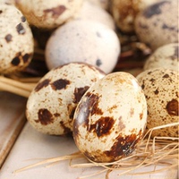 80个装农家新鲜鹌鹑蛋 鸟蛋鹌鹑卵营养丰富 健康食品新鲜鸟蛋