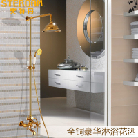 史特丹欧式仿古钛金色全铜淋浴花洒套装 带升降复古浴室水龙头