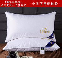 希尔顿五星级酒店羽绒枕头100%白鹅绒枕芯一对家用枕头单双人护颈