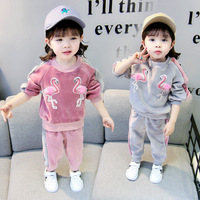 女宝宝春装套装0一1-2-3岁韩版潮小女童女宝金丝绒天鹅卫衣两件套