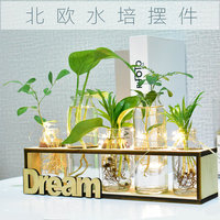创意绿萝水培植物玻璃花瓶花盆小清新客厅办公室桌面摆件植物容器