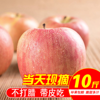 陕西红富士苹果水果10斤当季新鲜萍果糖心吃的丑苹果批发整箱包邮