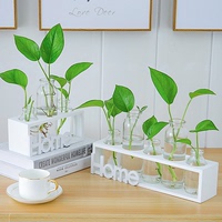 水培小花瓶创意玻璃绿萝透明小清新水养植物桌面装饰摆件客厅插花