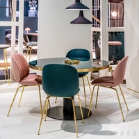 北欧铁艺甲壳虫餐椅家用轻奢风ins酒店咖啡厅休闲创意时尚靠背椅