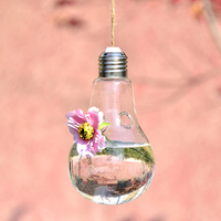 创意灯泡型办公室水培植物摆件 微景观玻璃花瓶 现代简约透明花瓶