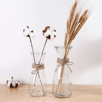 简约创意花瓶绿萝栽培摆设欧式透明玻璃瓶客厅茶几插花装饰干花瓶
