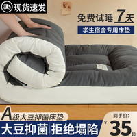 床垫宿舍学生单人软垫家用褥子榻榻米垫垫被床褥垫打地铺地垫冬季