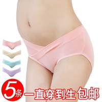 产后短裤通用孕妇内裤纯棉裆低腰怀孕期2-6个月4-7女内衣产前大码