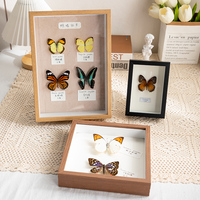 中空相框摆台手工diy真蝴蝶植物昆虫标本盒立体框架展示框画框架