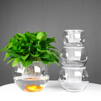 绿萝水培花瓶透明小玻璃瓶水养个性创意摆件植物插花花盆鱼缸器皿