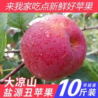 正宗四川大凉山盐源丑苹果冰糖心脆甜红富士苹果新鲜水果10斤包邮
