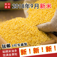 2018年新小米辽宁朝阳黄金苗吃的小米粥2500g东北小米杂粮食5斤