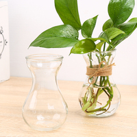 水培创意玻璃花瓶绿萝透明花盆风信子瓶客厅植物水培容器小插花瓶
