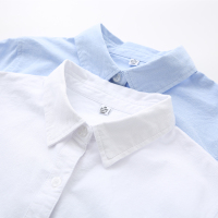 蓝色衬衣秋装新款韩版休闲宽松白色衬衫纯棉长袖学生百搭白衬衣女