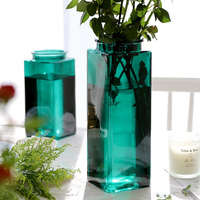 小清新玻璃花瓶彩色透明插花水培富贵竹现代简约客厅创意摆件大号