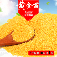 内蒙古赤峰黄小米食物新小米新米小米粥特级小黄米粮食农家月子米
