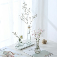 玻璃花瓶家居小清新透明植物花盆干花客厅插花摆件水培绿萝装饰品