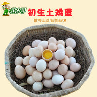 初生蛋20枚正宗土鸡蛋农家散养农村野外自养新鲜笨鸡蛋初产开窝蛋