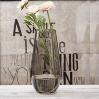 欧式玻璃花瓶 创意恐龙蛋造型干花插花花器 客厅富贵竹装饰摆件