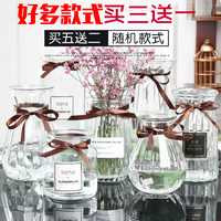 水培绿萝玻璃花瓶简约创意摆件客厅欧式透明插花鲜花干花容器包邮