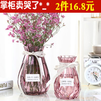 花瓶2件 创意简约植物装饰桌面摆件 欧式家用客厅 鲜花水培干花瓶