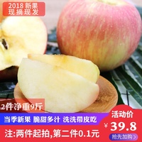 2018新果陕西红富士苹果水果5斤新鲜当季批发包邮吃的苹果现摘