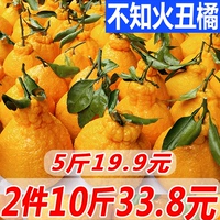 四川不知火丑橘 新鲜水果桔子橘子丑八怪耙耙柑丑柑包邮拍2件10斤