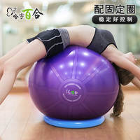 哈宇健身球瑜伽球T级加厚防爆瑞士球瑜珈球孕妇体操球送教学视频