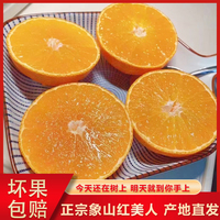 正宗象山红美人 爱媛28号 鲜摘产地直发柑橘 5斤礼盒蜜橘新鲜桔子