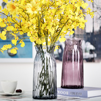 玻璃花瓶 创意彩色透明富贵竹干花花器 客厅插花摆件 小清新 包邮