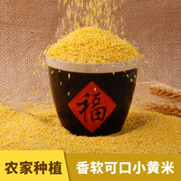 新小米 有机产地黄小米2500g（5斤）吃的小黄米粥杂粮米油包邮