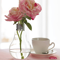 创意玻璃灯泡花瓶摆件水培花器 绿萝富贵竹水培花瓶迷你玻璃鱼缸