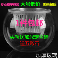 [特大号]水培植物玻璃瓶 水培绿萝花瓶花盆玻璃圆球　鱼缸容器皿