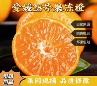 正宗红美人果冻橙新鲜柑橘桔子水果爱媛28号当季现摘大果小果包邮