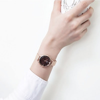 女士手表 女款 时尚腕表气质钢带手表女学生韩版简约 潮流石英表