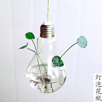 创意悬挂式透明玻璃灯泡花瓶水培绿植花器多肉微景观生态瓶