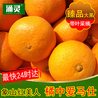 鲜摘正宗象山红美人甜柑橘礼盒新鲜水果精品爱媛28号桔子5斤包邮