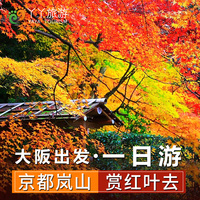 日本旅游大阪出发京都一日游奈良神户一日游岚山小火车枫叶红叶季